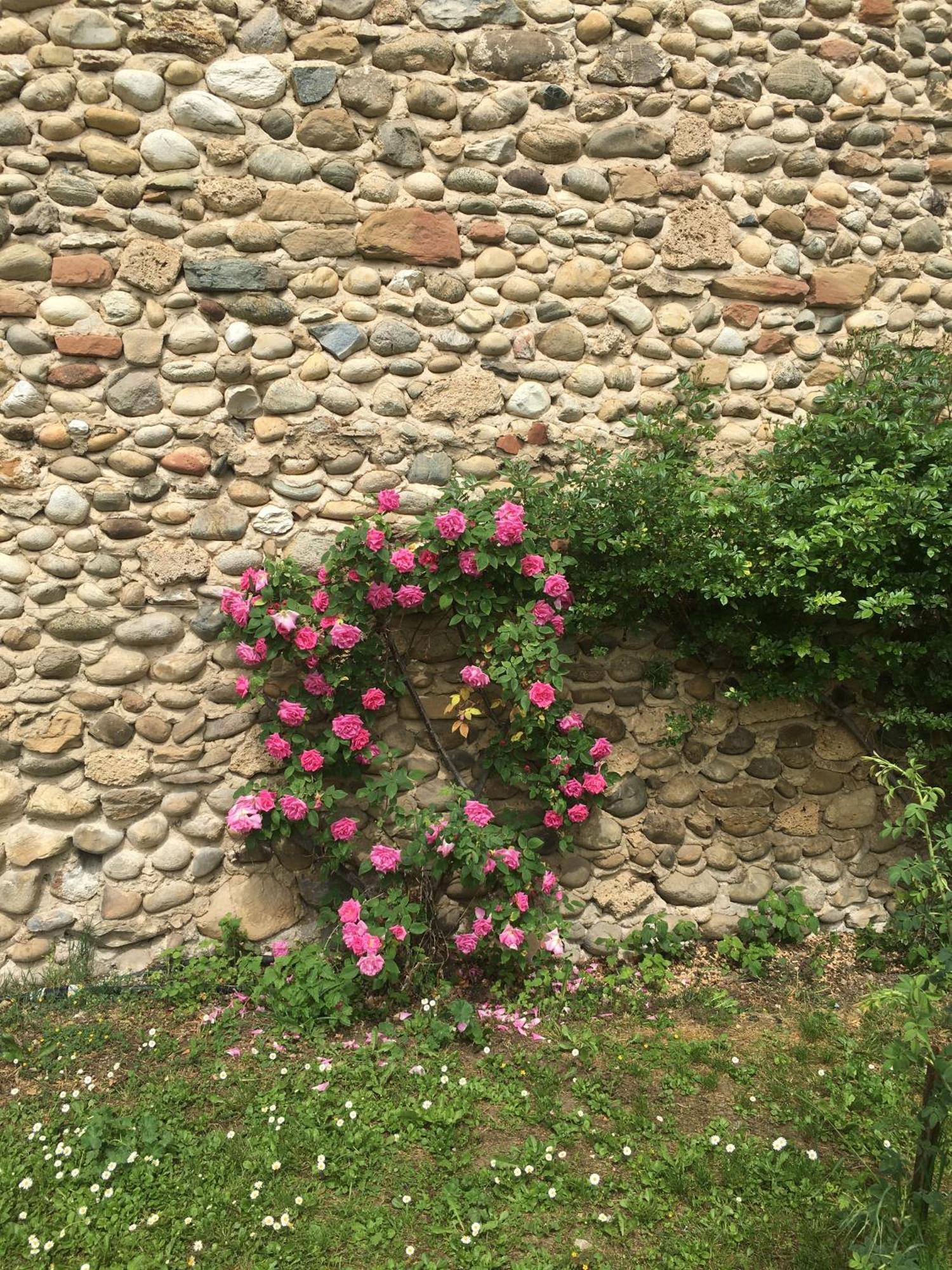 Vercors En Vert , Chambres D'Hotes De Charme Saint-Romans  Εξωτερικό φωτογραφία