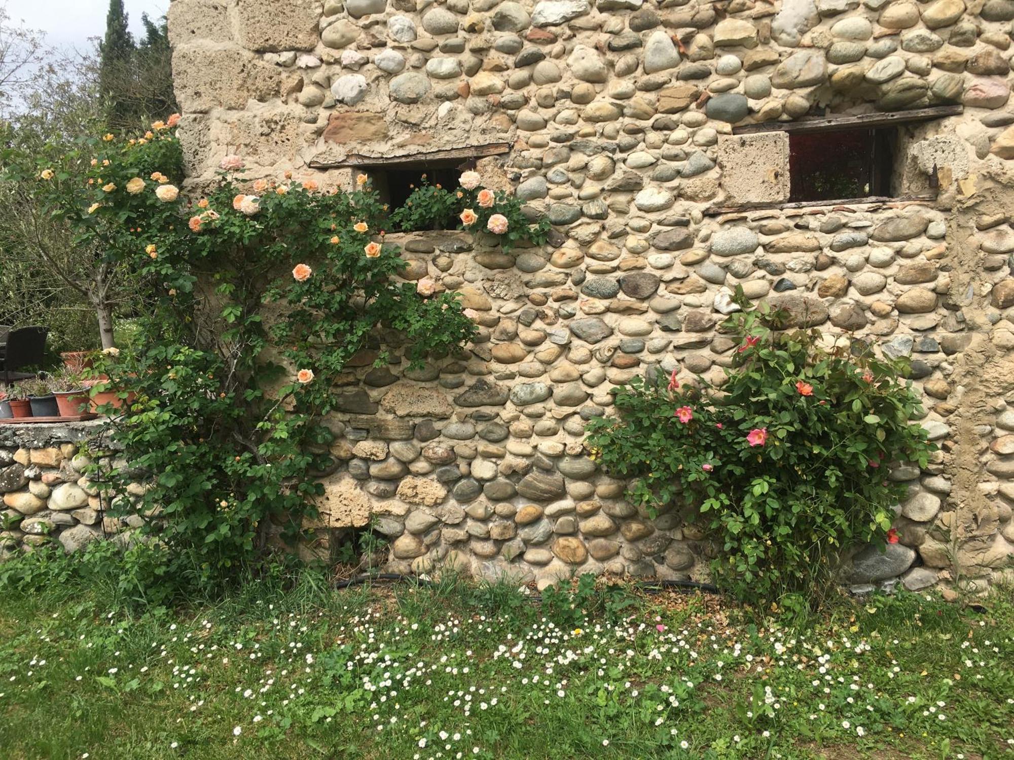 Vercors En Vert , Chambres D'Hotes De Charme Saint-Romans  Εξωτερικό φωτογραφία