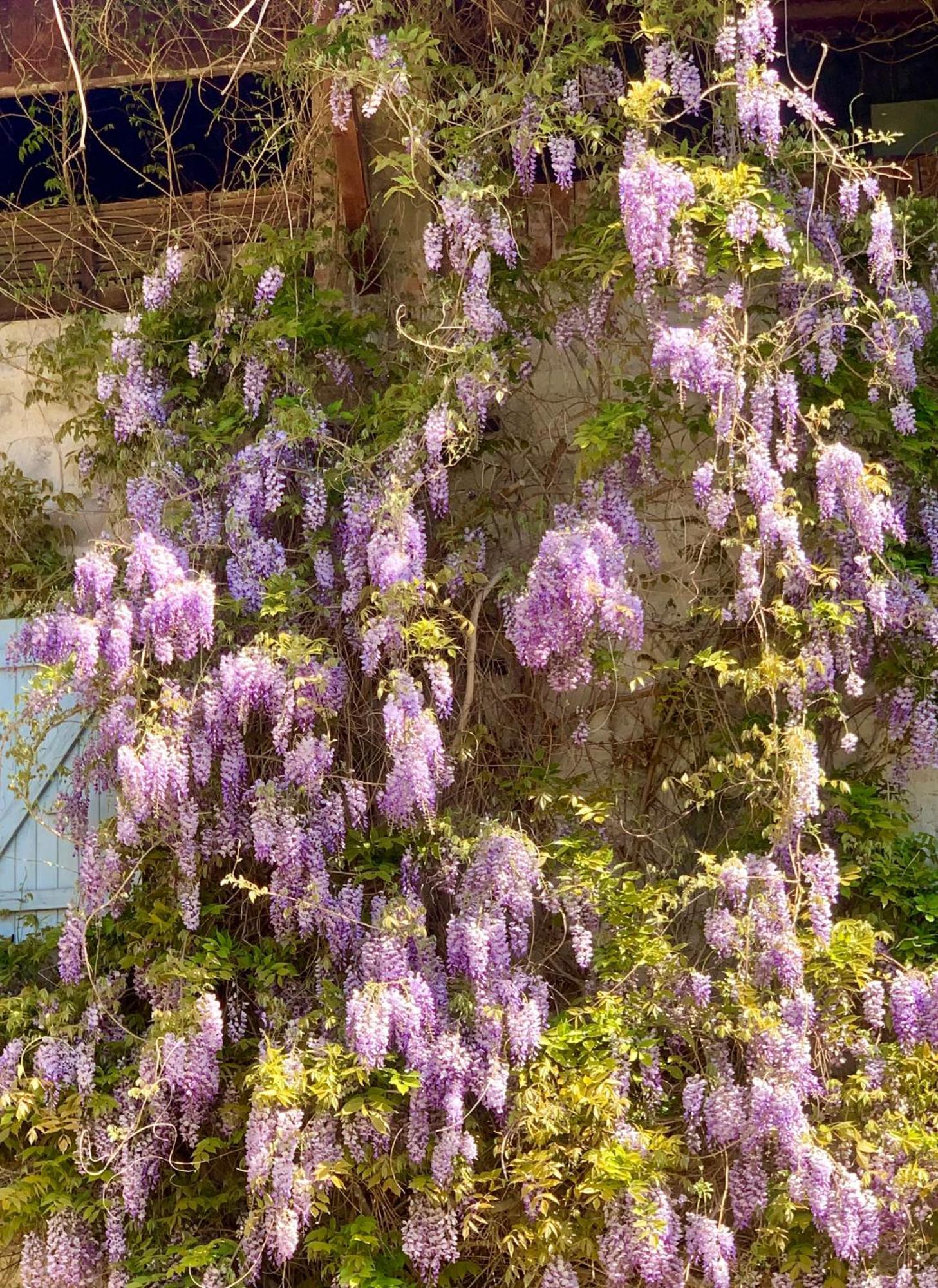 Vercors En Vert , Chambres D'Hotes De Charme Saint-Romans  Εξωτερικό φωτογραφία