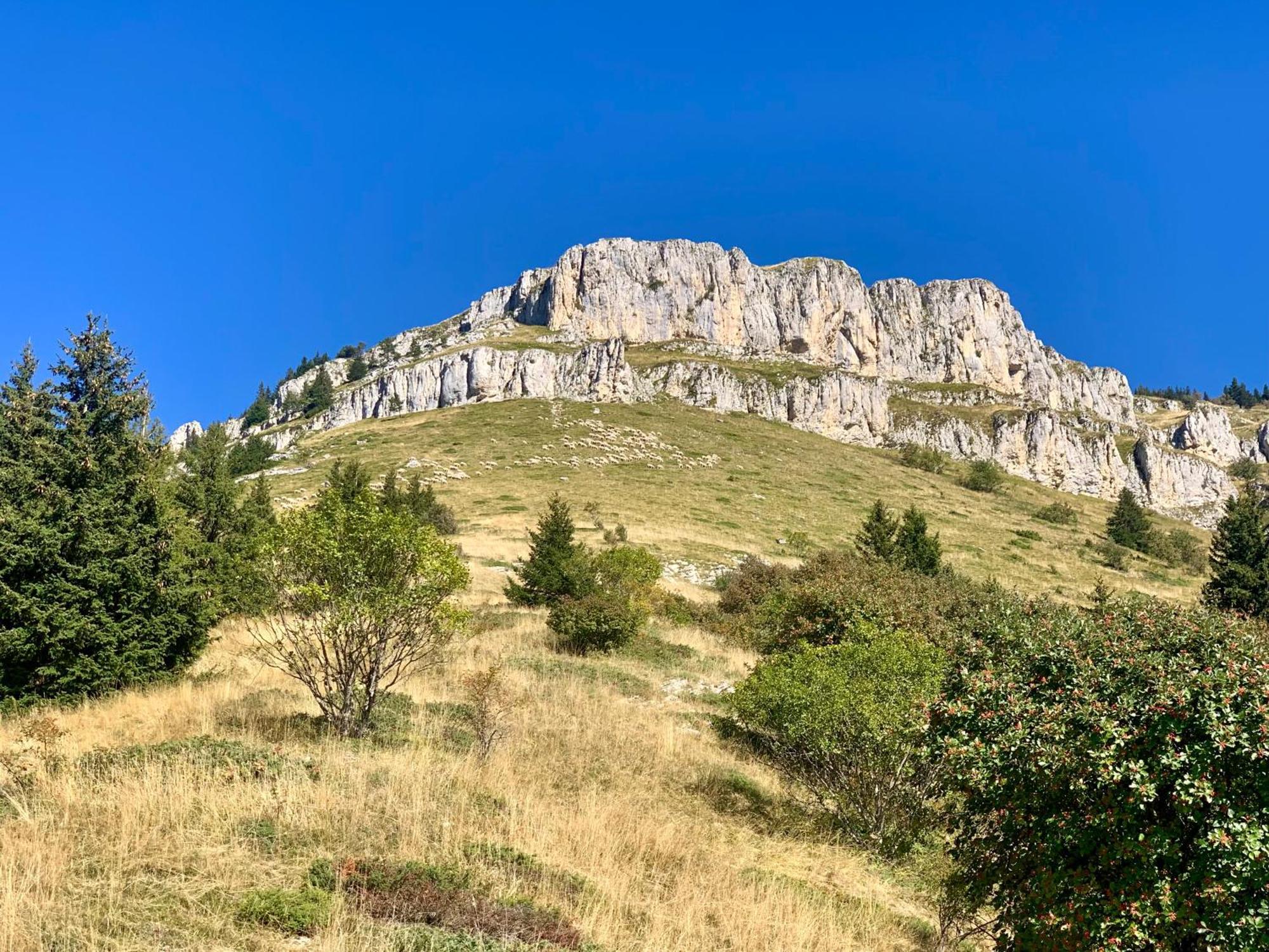 Vercors En Vert , Chambres D'Hotes De Charme Saint-Romans  Εξωτερικό φωτογραφία