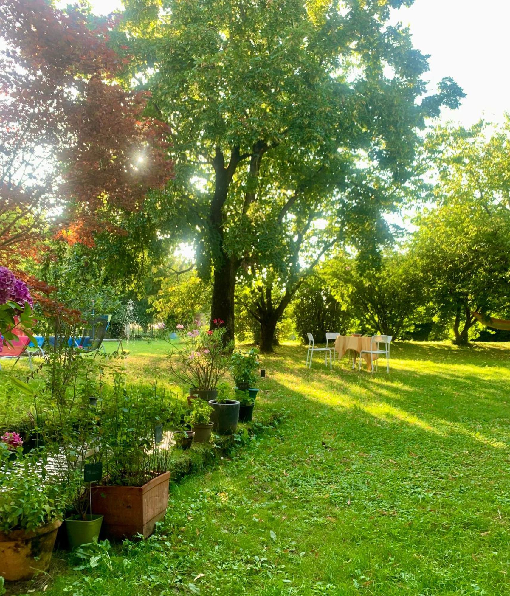 Vercors En Vert , Chambres D'Hotes De Charme Saint-Romans  Εξωτερικό φωτογραφία