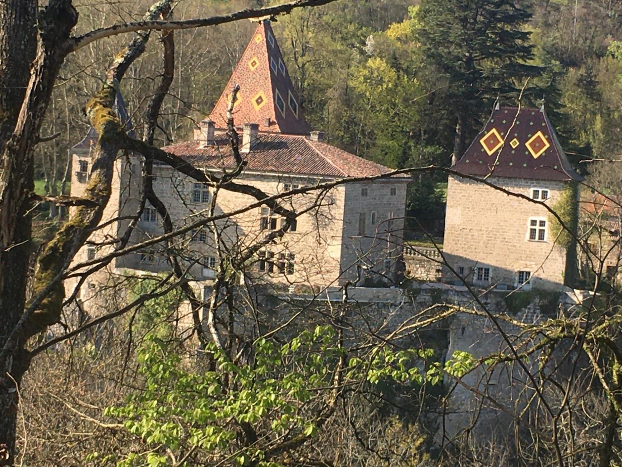Vercors En Vert , Chambres D'Hotes De Charme Saint-Romans  Εξωτερικό φωτογραφία