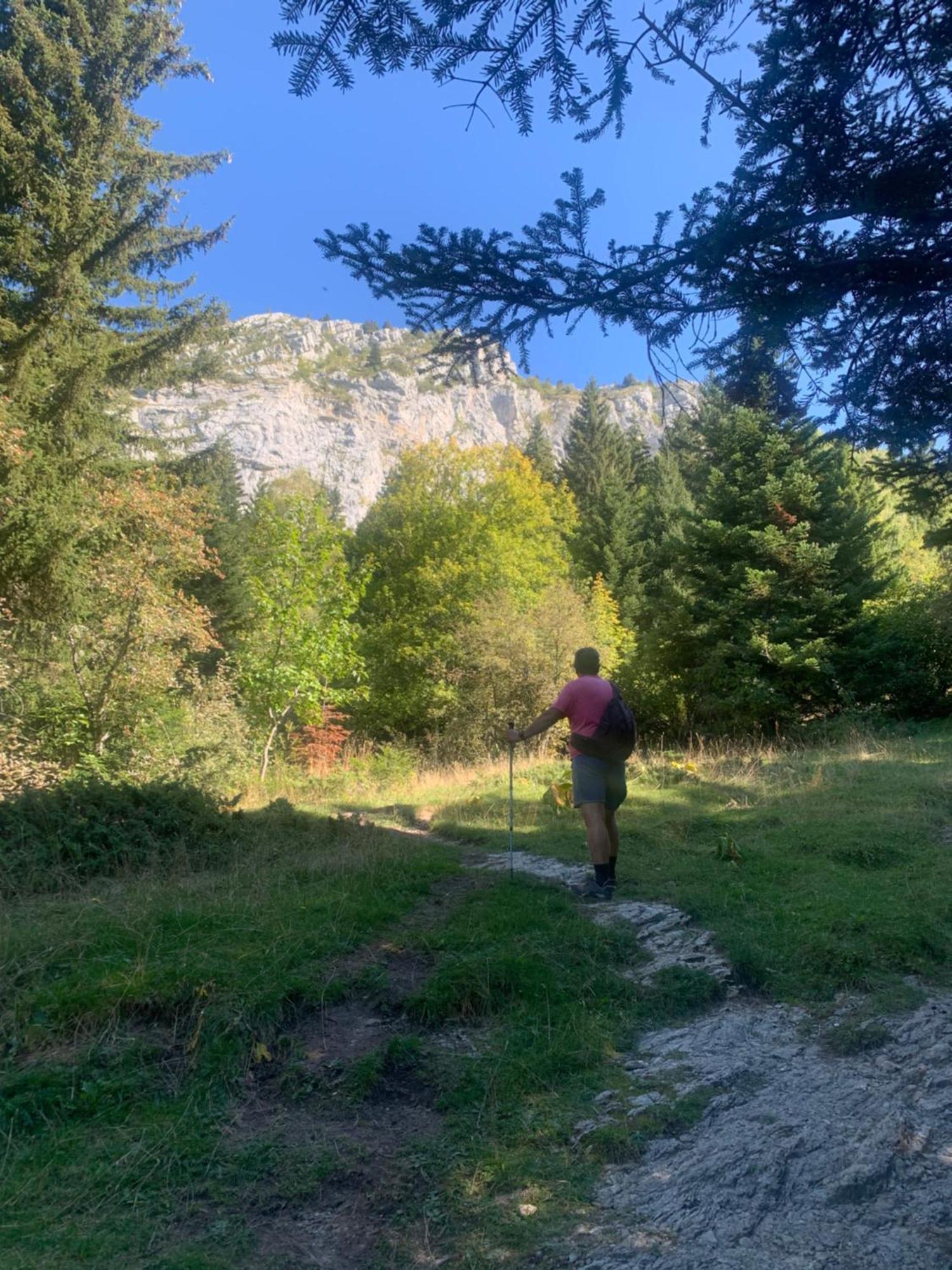 Vercors En Vert , Chambres D'Hotes De Charme Saint-Romans  Εξωτερικό φωτογραφία